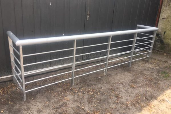 119920380_1786555871502596_2594946129353450132_n