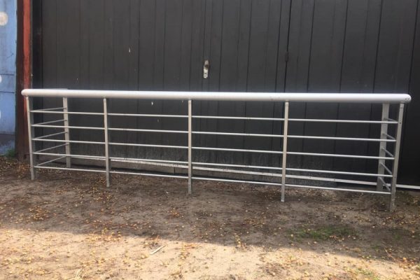 120036434_1786555918169258_5059502890875081582_n